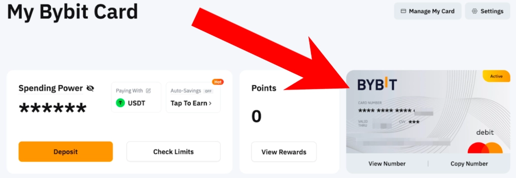 Crypto ByBit Card how to use